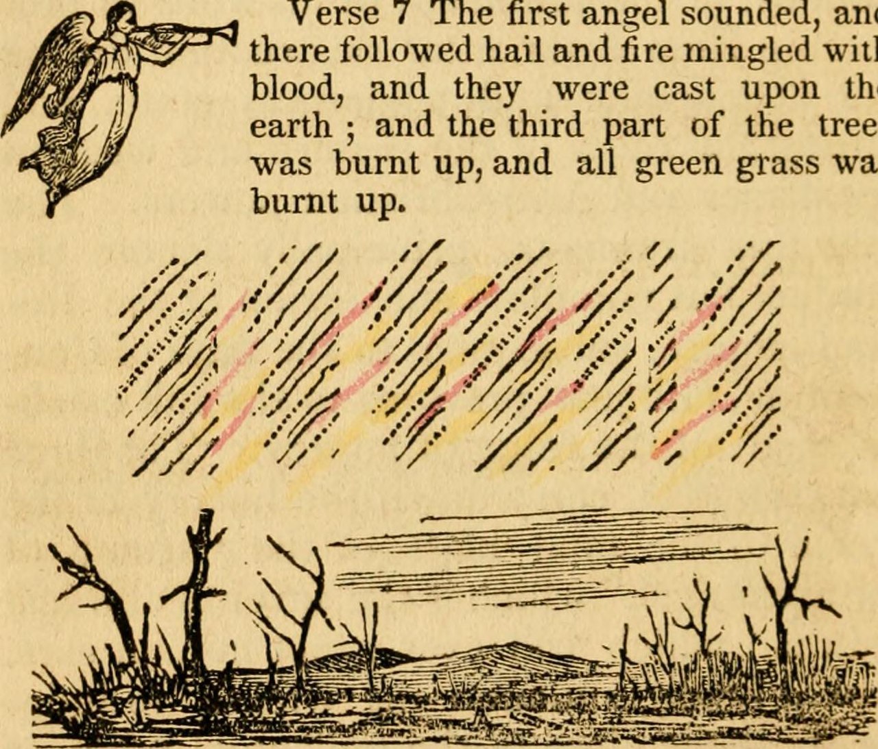 The Prophecy of Four